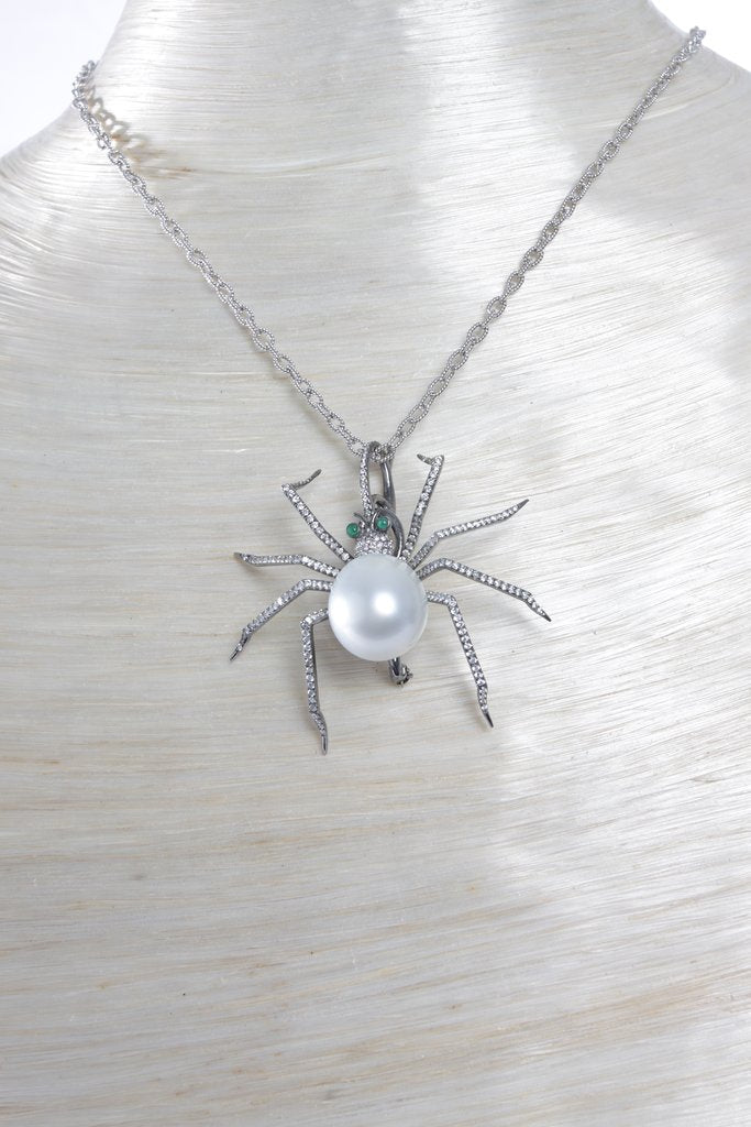 South Sea Spider