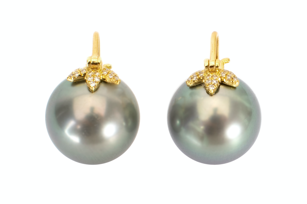 Tahitian pearl earrings