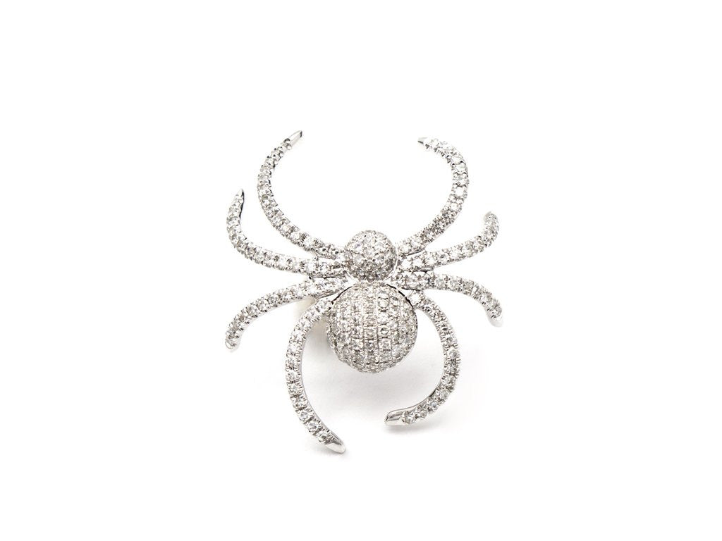 spider earring