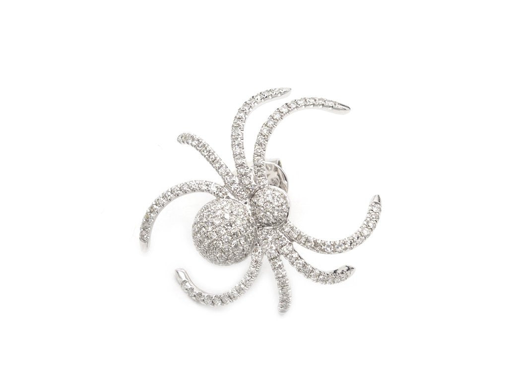 spider earring